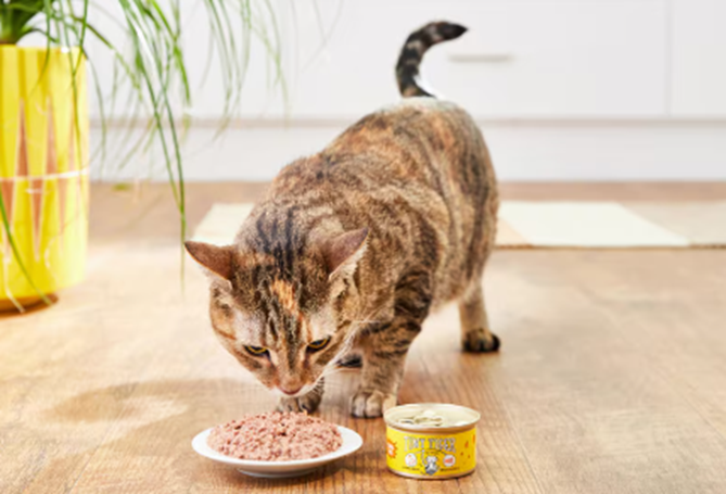 Grain-Free Pet Food